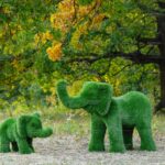 Топиари композиция слон Патрик, средний и Кроха - газон Premium
