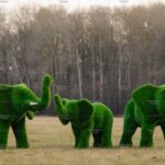 Топиари композиция слоны, большая семья, 3 шт - газон Premium