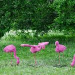 Топиари композиция фламинго розовый, семья Вернис, 5 шт - газон Eco