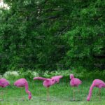 Топиари композиция фламинго розовый, семья Елизи, 7 шт - газон Eco
