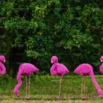 Топиари композиция фламинго розовый, семья Ларри, 5 шт - газон Eco