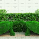Топиари композиция черепахи - газон Eco