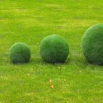 Топиари композиция шары в виде куста туи, 4 шт - газон Eco