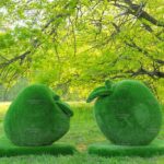 Топиари композиция яблоки- газон Eco Green