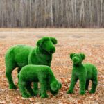 Топиари композиция ягнята и овечка - газон Deluxe