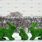 Топиари композиция, зайцы, 3 шт - газон Premium