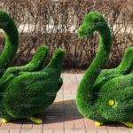 Топиари композция лебеди Авелины - газон Deluxe