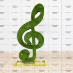 Топиари скрипичный ключ - газон Premium