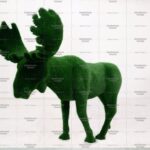 Топиари лось - газон Deluxe Green