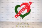 Топиари стела Сердце, h=255 см - газон Eco