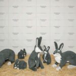 Топиари композиция зайцы, серые, кружок - газон Eco