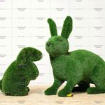 Топиари композиция зайцы, Тема и Лада - газон Eco + Deluxe