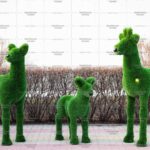 Топиари композиция косули - газон Deluxe