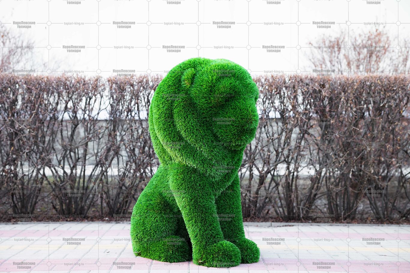 Топиари композиция львы Рикко и Томас - газон Deluxe Топиари композиция львы Рикко и Томас - газон Deluxe