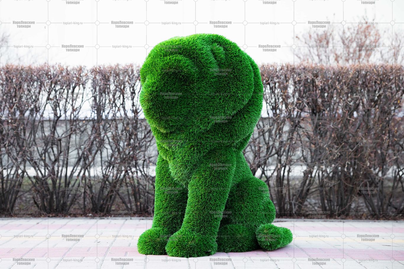 Топиари композиция львы Рикко и Томас - газон Deluxe Топиари композиция львы Рикко и Томас - газон Deluxe