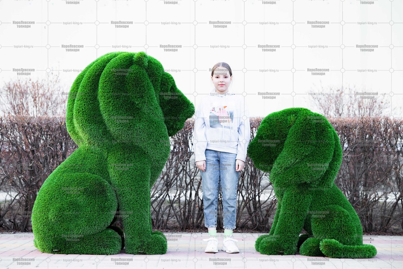 Топиари композиция львы Рикко и Томас - газон Deluxe Топиари композиция львы Рикко и Томас - газон Deluxe