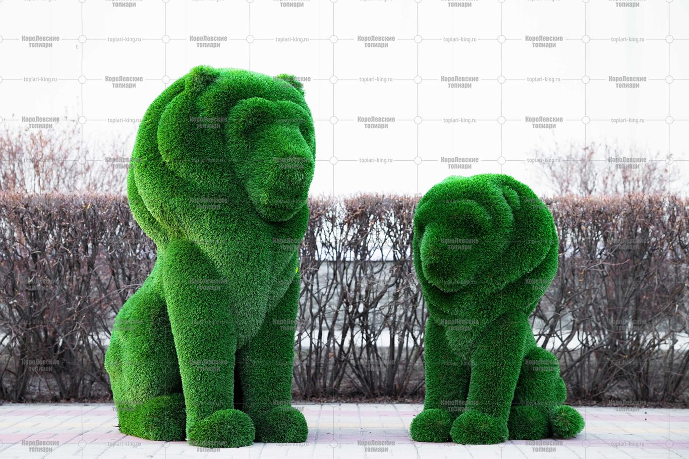 Топиари композиция львы Рикко и Томас - газон Deluxe Топиари композиция львы Рикко и Томас - газон Deluxe