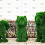 Топиари композиция львы Рикко, Томас и Сильвестр - газон Deluxe