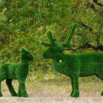 Топиари композиция олени Норди с Севой - газон Deluxe