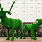 Топиари композиция олени, малыш и папа - газон Eco