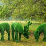 Топиари композиция олени, олень и  две самочки - газон Eco Green