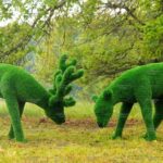 Топиари композиция олени, олень и самочка - газон Eco Green