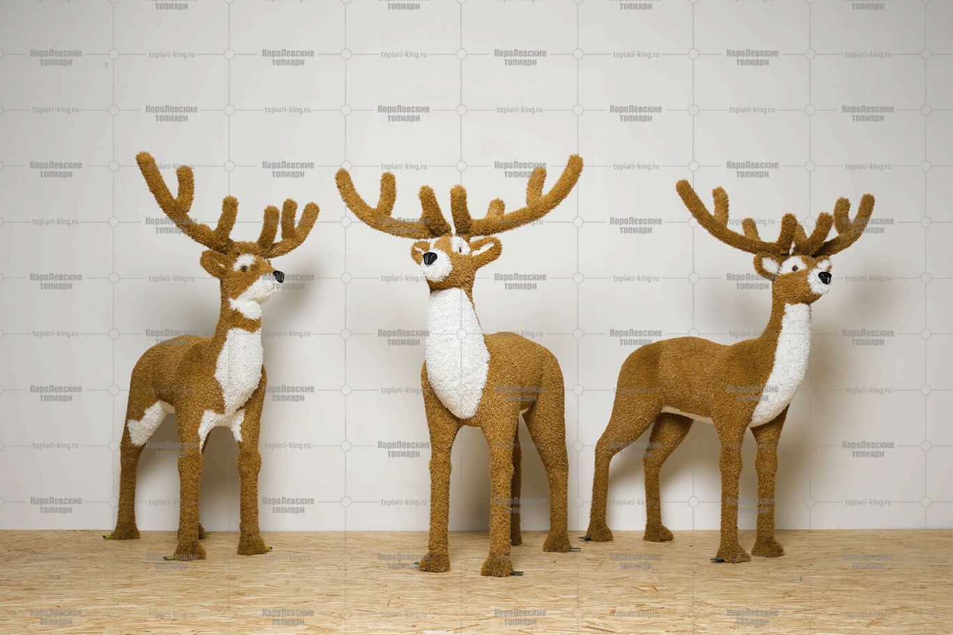 Топиари композиция олени, Орех - газон Eco Топиари композиция олени, Орех - газон Eco