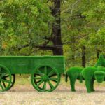 Топиари композиция ослики с телегой - газон Eco