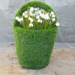 Топиари корзина - газон Есо