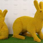 Топиари композиция заяц большой Чики и зайчик Бари - газон Есо, цветной