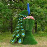 Топиари композиция павлин Корица на вазоне - газон Deluxe+ Eco