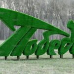 Топиари стела Победа - газон Eco +