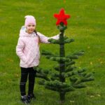 Топиари елка со звездой - газон Eco