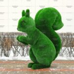 Топиари белка Роза - газон Deluxe