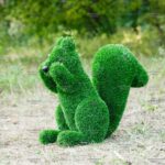 Топиари белочка Малышка - газон Eco