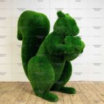 Топиари белочка с орехом Джеси - газон Eco