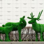 Топиари композиция  олень самочка Нелли, олень Норди ll, олень малыш Том - газон Есо