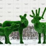 Топиари композиция  олень самочка Нелли, олень Норди ll, олень малыш Том - газон Deluxe