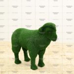 Топиари овечка Долли - газон Есо