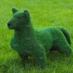 Топиари собака бультерьер - газон Eco