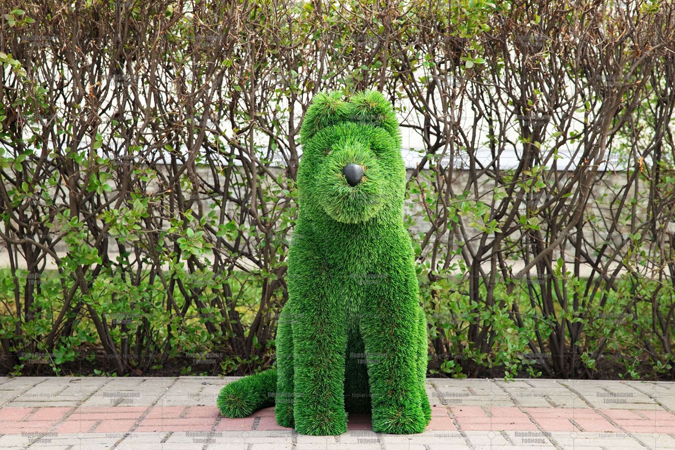 Топиари собака Найда - газон Deluxe Топиари собака Найда - газон Deluxe