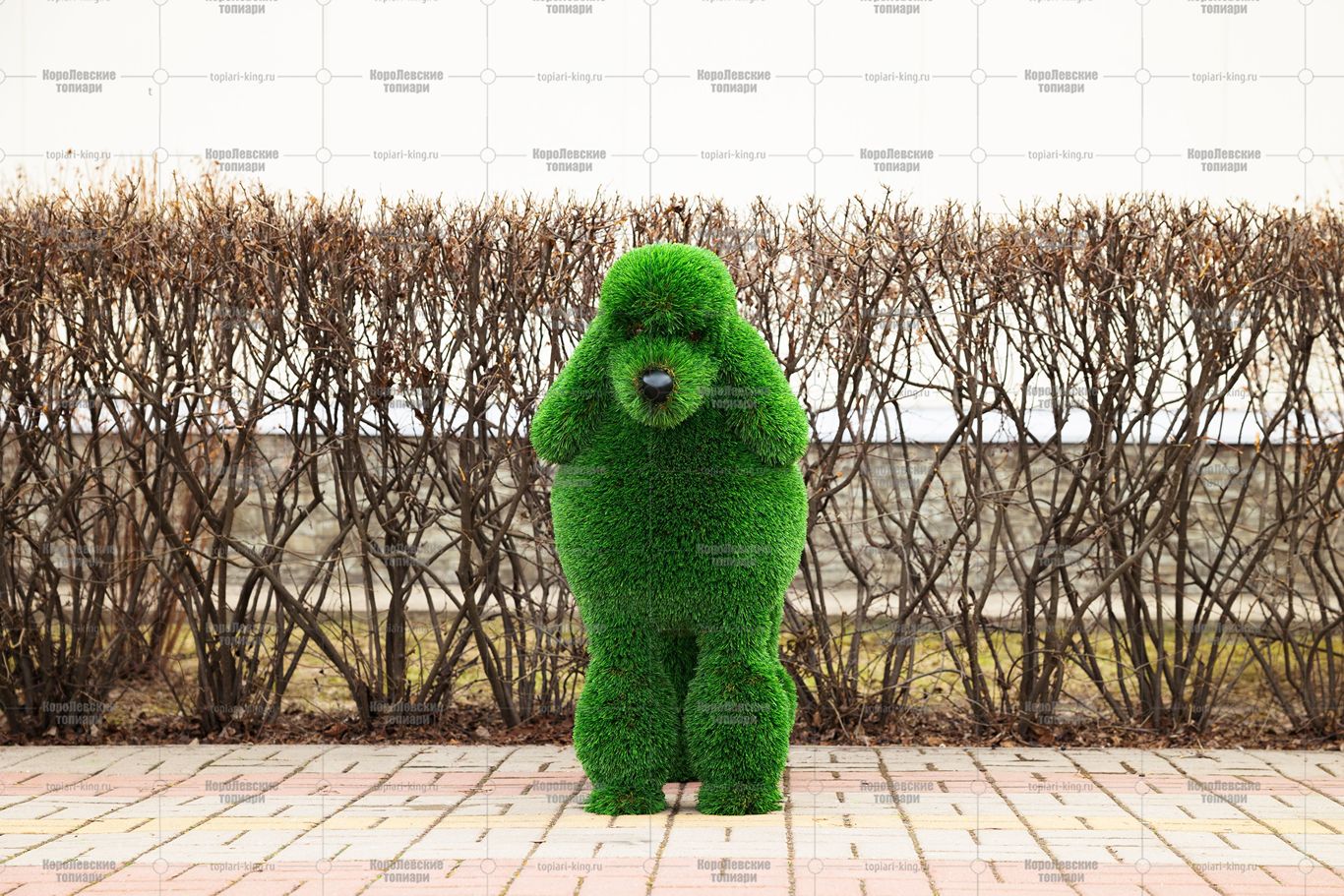 Топиари собака пудель - газон Deluxe Топиари собака пудель - газон Deluxe