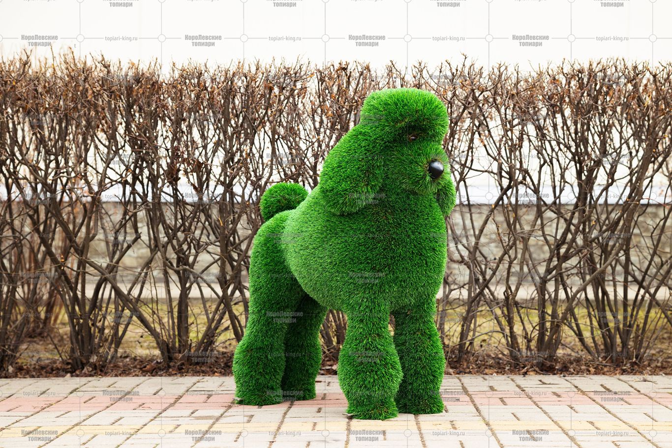 Топиари собака пудель - газон Deluxe Топиари собака пудель - газон Deluxe