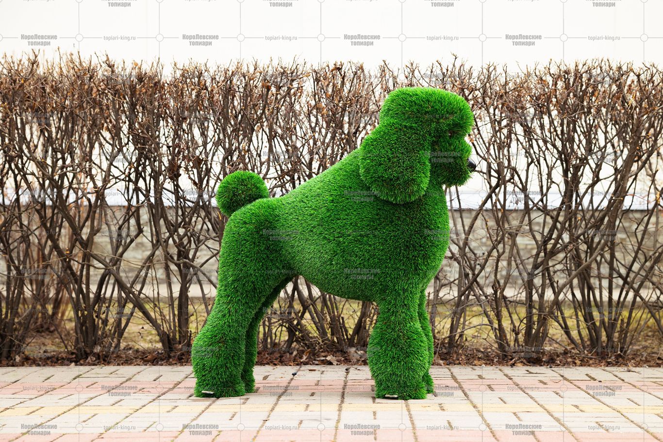 Топиари собака пудель - газон Deluxe Топиари собака пудель - газон Deluxe