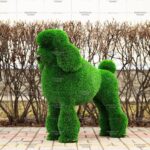 Топиари собака пудель - газон Deluxe