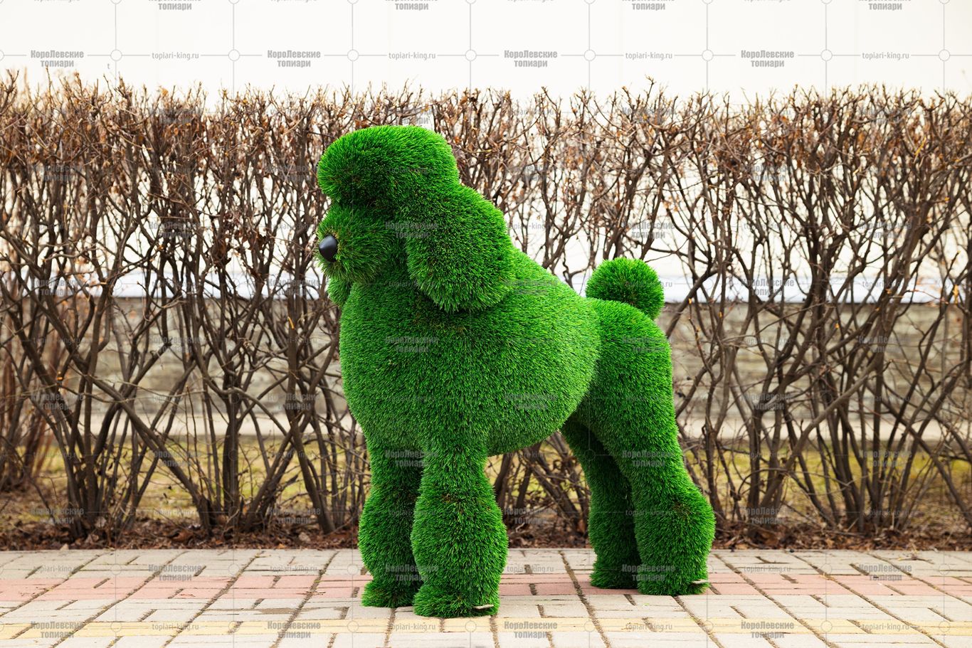 Топиари собака пудель - газон Deluxe Топиари собака пудель - газон Deluxe