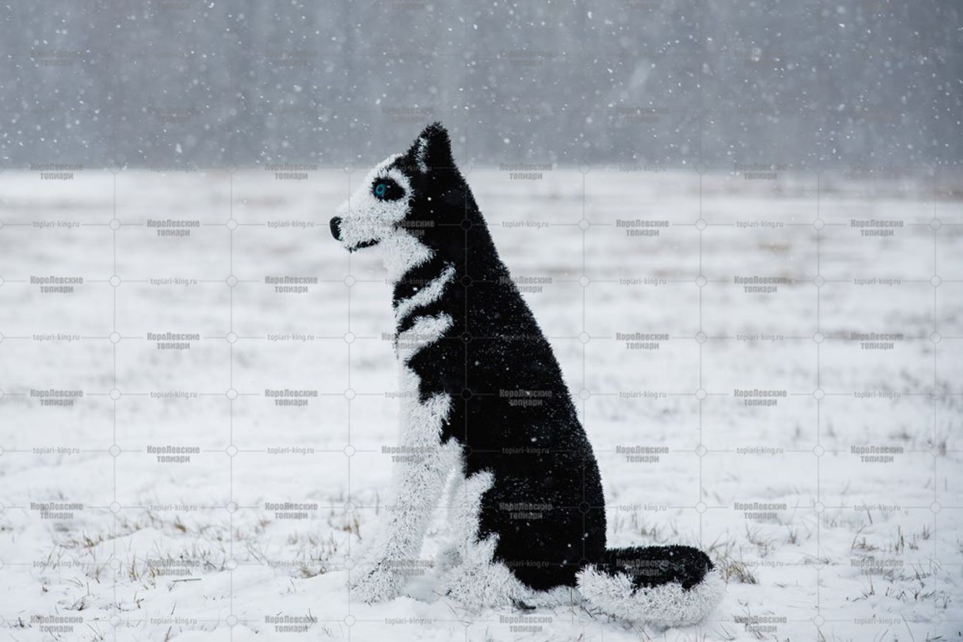 Топиари собака хаски, Пушнин - газон Eco Топиари собака хаски, Пушнин - газон Eco