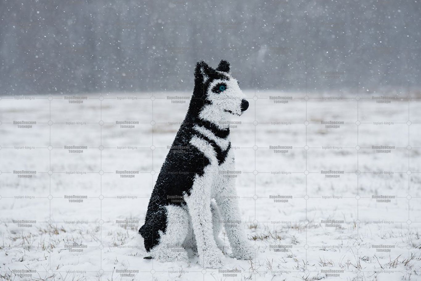 Топиари собака хаски, Пушнин - газон Eco Топиари собака хаски, Пушнин - газон Eco
