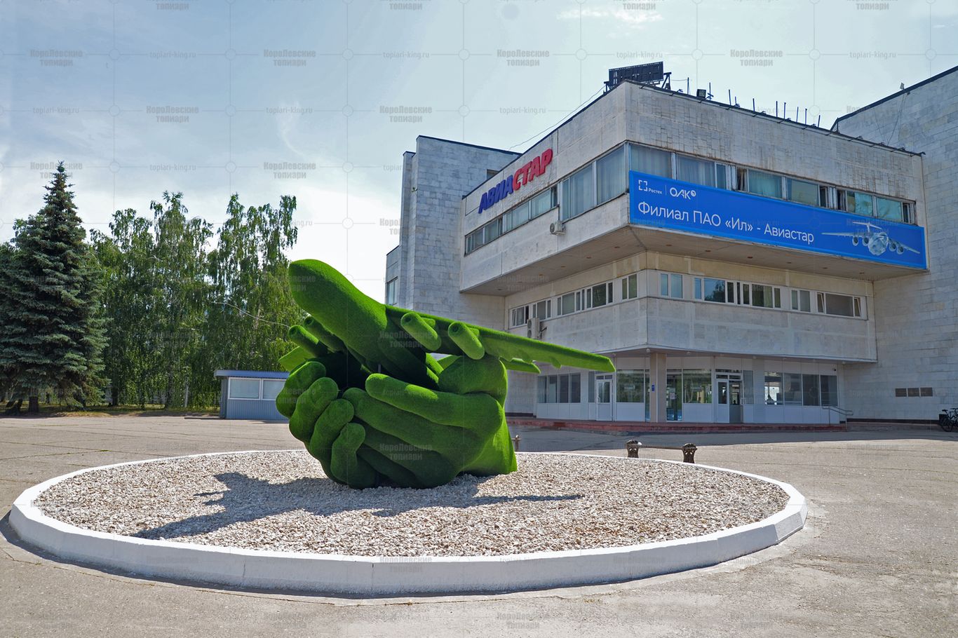 Топиари самолет в ладонях - газон Есо Топиари самолет в ладонях - газон Есо