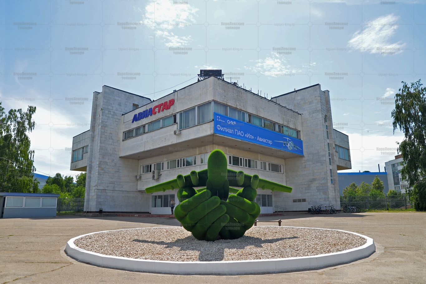 Топиари самолет в ладонях - газон Есо Топиари самолет в ладонях - газон Есо